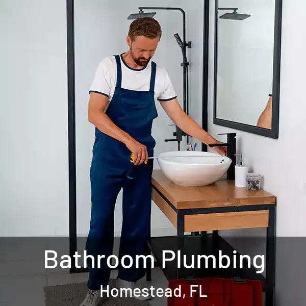  Bathroom Plumbing Homestead, FL