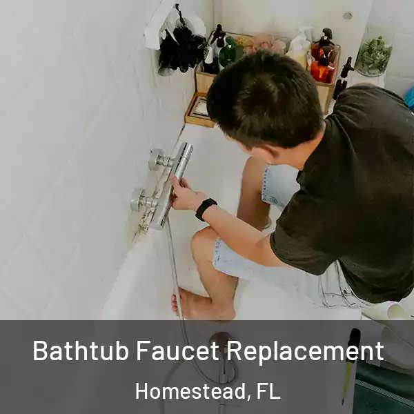  Bathtub Faucet Replacement Homestead, FL