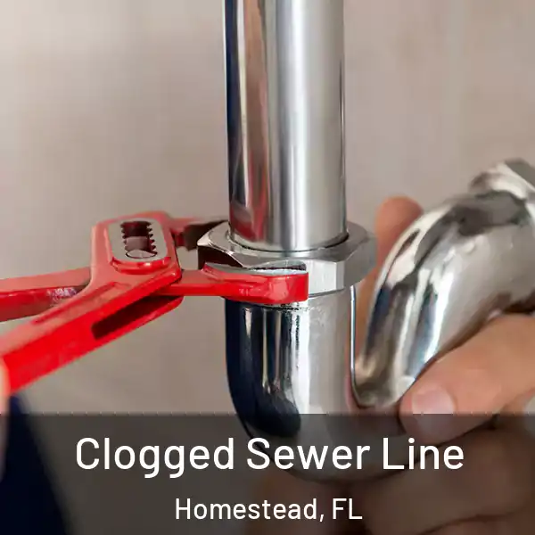  Clogged Sewer Line Homestead, FL