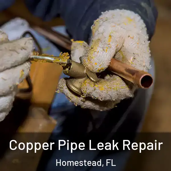  Copper Pipe Leak Repair Homestead, FL