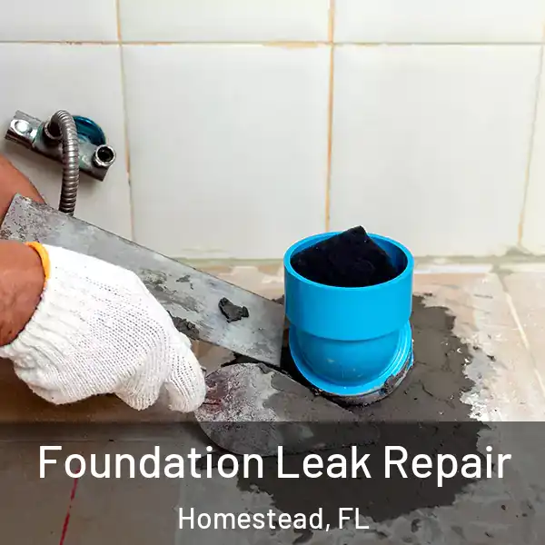  Foundation Leak Repair Homestead, FL