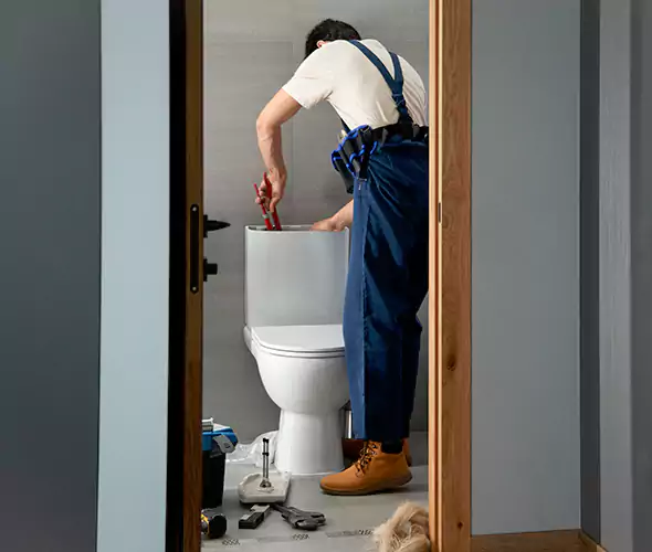 Professional Plumbers for Toilet Bowl Replacement in Homestead, FL: Schedule Affordable Toilet Replacement Services With Us