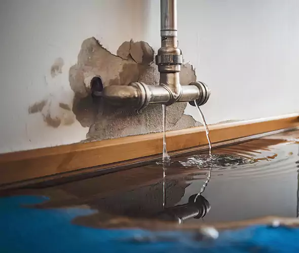 Professional Water Damage Restoration Experts in Homestead, FL — Fast, Reliable & Certified