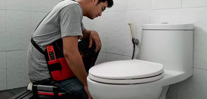 Toilet Repair in Homestead