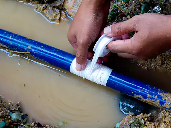  Why Choose Homestead Plumbing Pro for Leak Detection in Homestead, FL?]