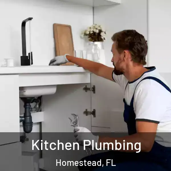  Kitchen Plumbing Homestead, FL