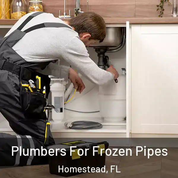  Plumbers For Frozen Pipes Homestead, FL