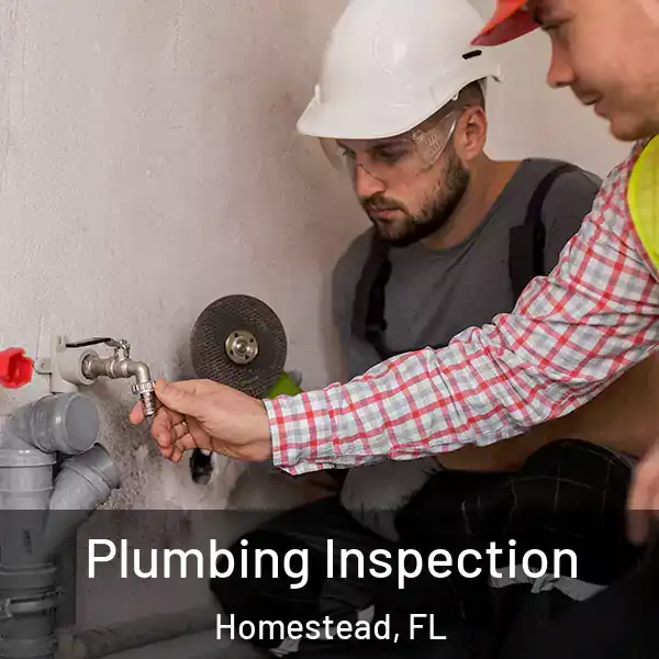  Plumbing Inspection Homestead, FL