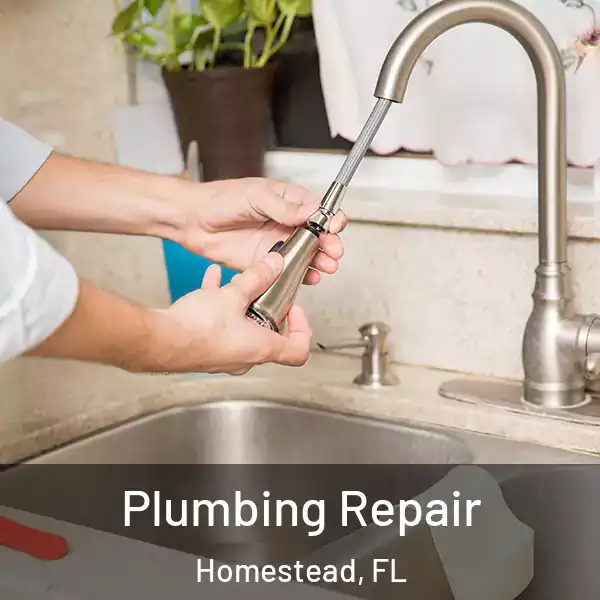  Plumbing Repair Homestead, FL