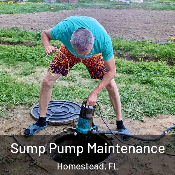  Sump Pump Maintenance Homestead, FL