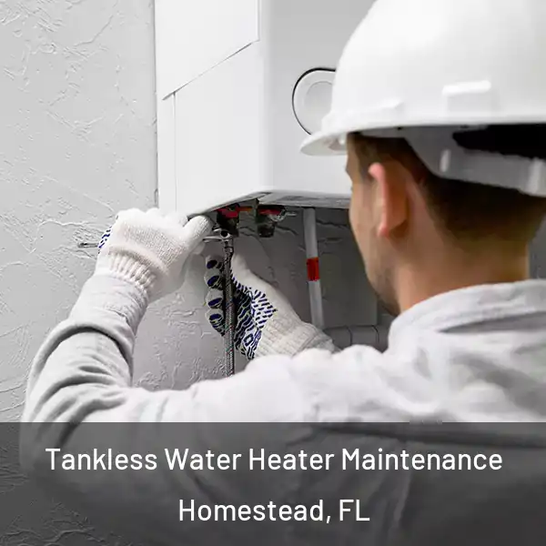  Tankless Water Heater Maintenance Homestead, FL