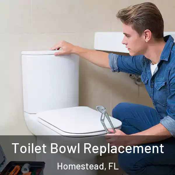  Toilet Bowl Replacement Homestead, FL