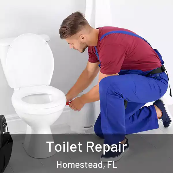  Toilet Repair Homestead, FL