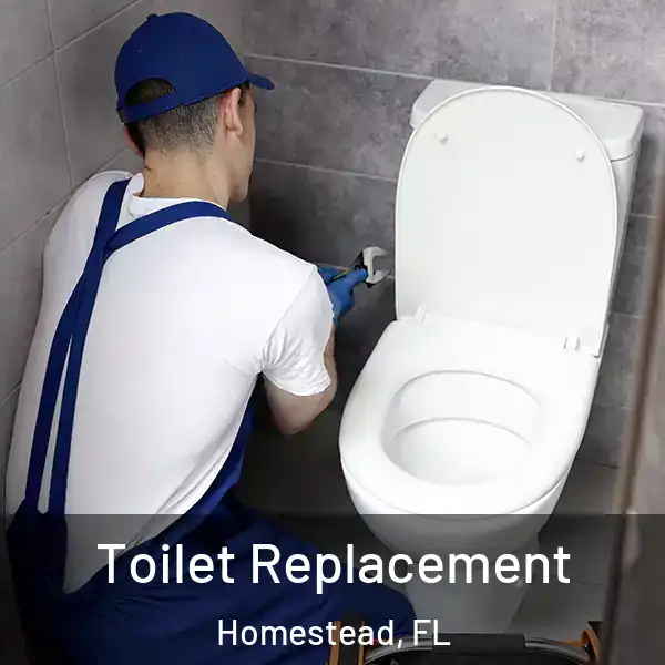  Toilet Replacement Homestead, FL
