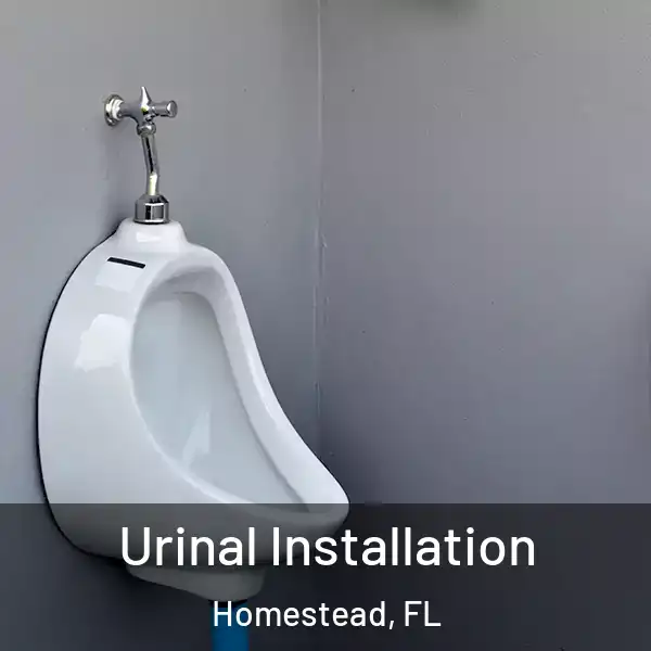  Urinal Installation Homestead, FL