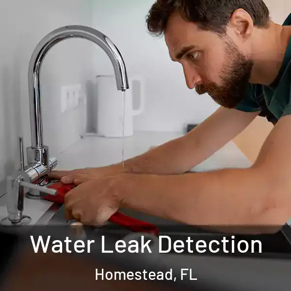  Water Leak Detection Homestead, FL