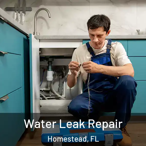  Water Leak Repair Homestead, FL